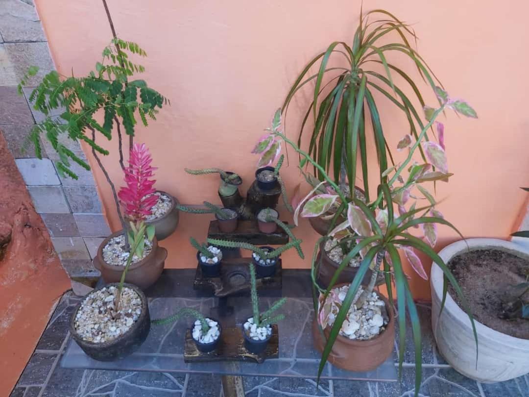 Pousada Terra Do Sol Pipa Praia de Pipa Zewnętrze zdjęcie